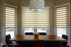 Shop Blinds & Window Shades At Lowes.com (3)