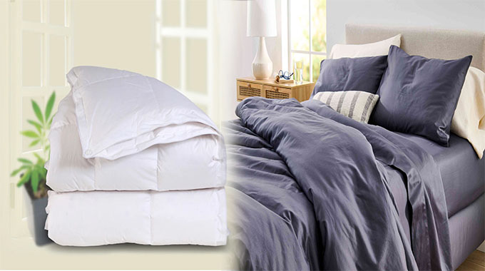 Review of Cozy Line Home Fashions Bedding Collections